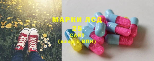 ПСИЛОЦИБИНОВЫЕ ГРИБЫ Наволоки