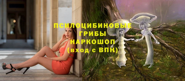 ALPHA PVP Надым