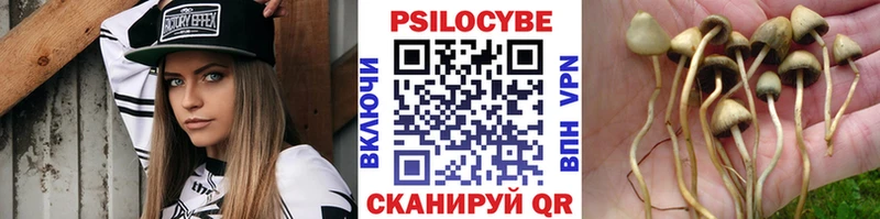 Галлюциногенные грибы GOLDEN TEACHER Оленегорск